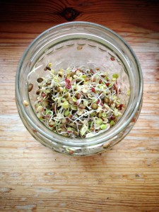 Introduction to fructose malabsorption: Foods to enjoy with ibs // Fructoseintoleranz: Was darf ich eigentlich noch essen // Fructopia.de