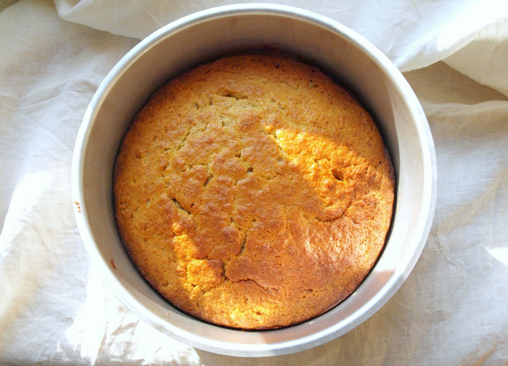 Fructose friendly cake with orange and ricotta // Fructosearmer Kuchen mit Orange und Ricotta // Fructopia.de