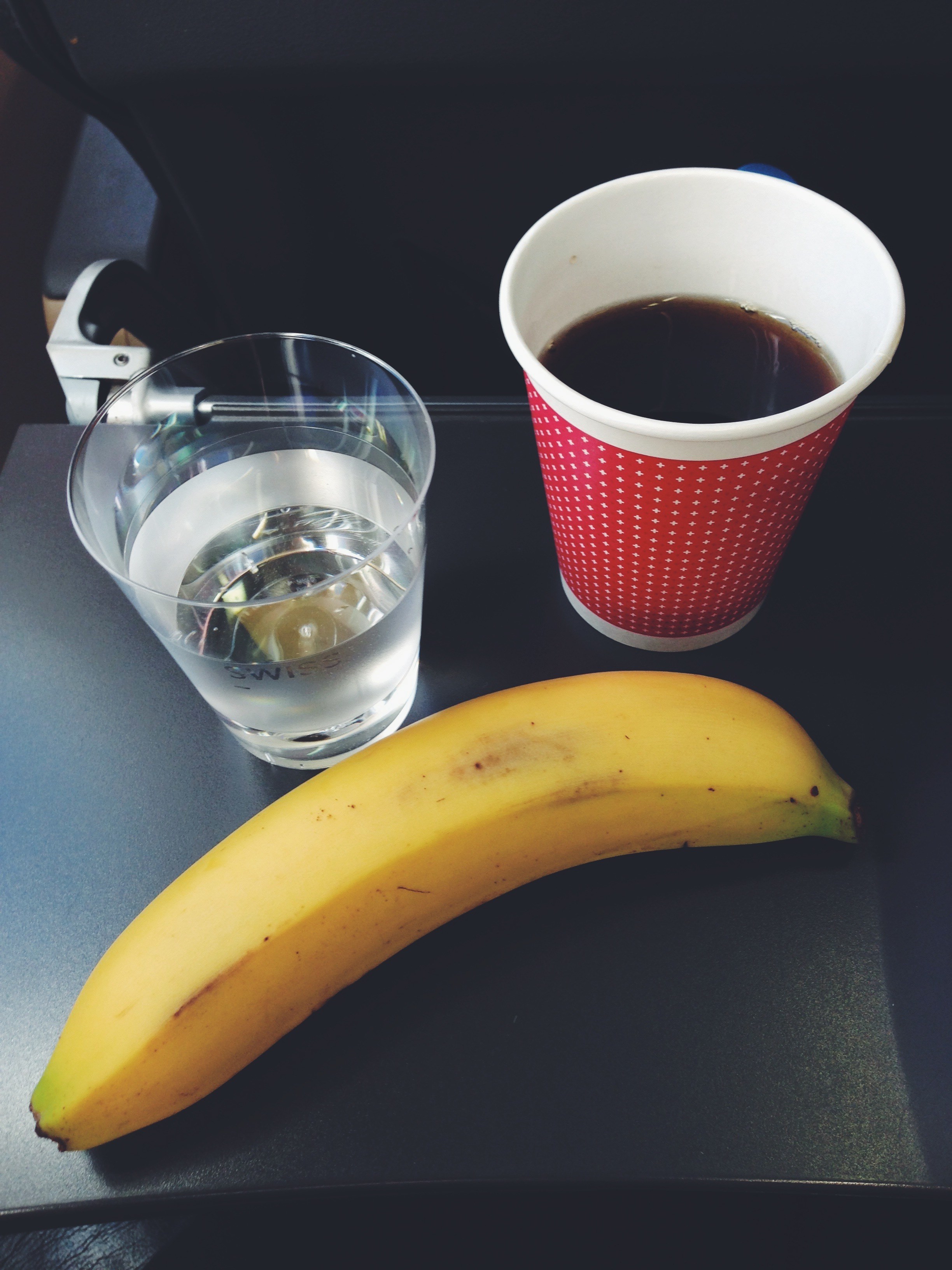 Traveling with Fructose Malabsorption: On the plane // Reisen mit Fructoseintoleranz: Flugzeugessen // Fructopia.de