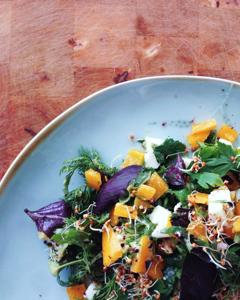 Rainbow Salad With Herbs and Sprouts Galore #fructosefree // Regenbogensalat mit Kräutern und Sprossen #fructosearm // Fructopia.de