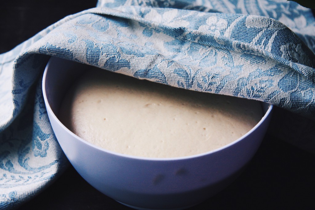 Delicious Coconut Chocolate Buns for cozy winter weekends (vegan, fructose-friendly, wheat-free, lowFODMAP) // fructopia.de/en